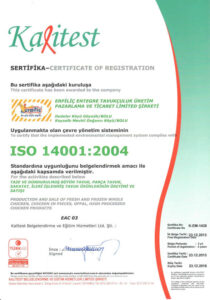 iso14001